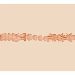 on_121392-beige_0000051805_064c46dca90e186031fb5b07759c09ca_1766044981.121392-beige_.webp