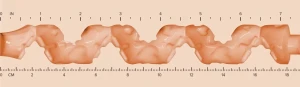 or_50075770000_0000056221_c11dc2e4ad6047ffc068e83edb71b615_50075770000_nor_g.webp