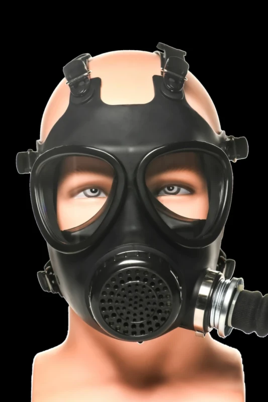 on_116978-black_0000048583_d618c642a80fcce7f35cac154b253a35_1736924522.116978-black_.webp