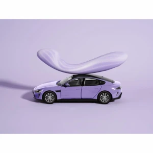 on_121083-purple_0000051087_b07eb53d9e2eba39a1b100faa105f628_1762769526.121083-purple.webp